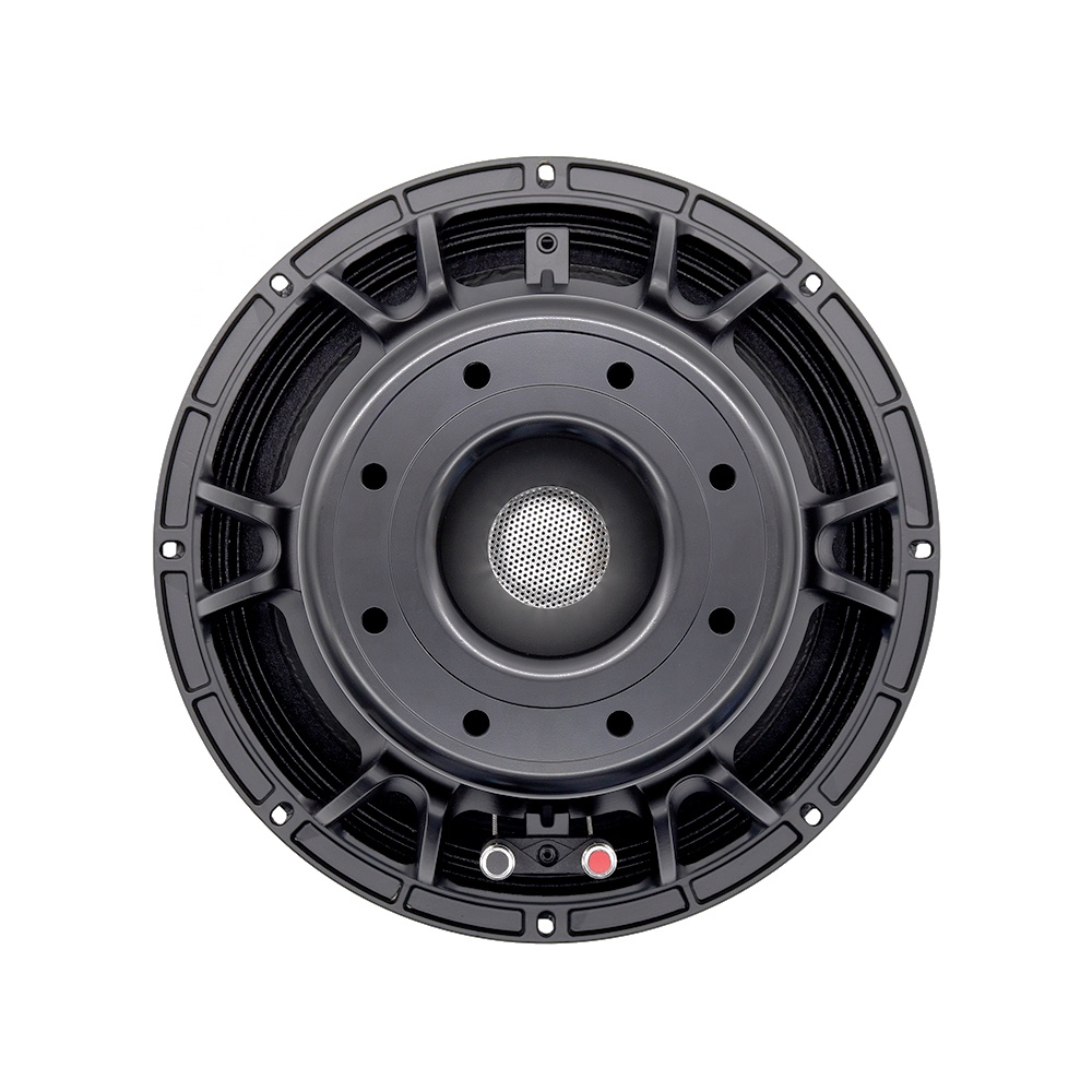 Speakers - Аудиооборудование 12DS Pro: 12-дюймовый динамик высокого