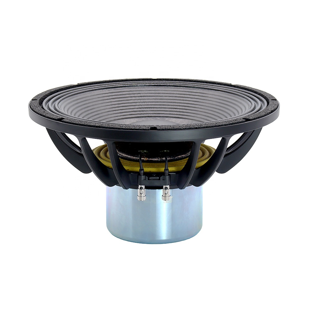 15IPAL Новый профессиональный  – обзор и цена Speakers