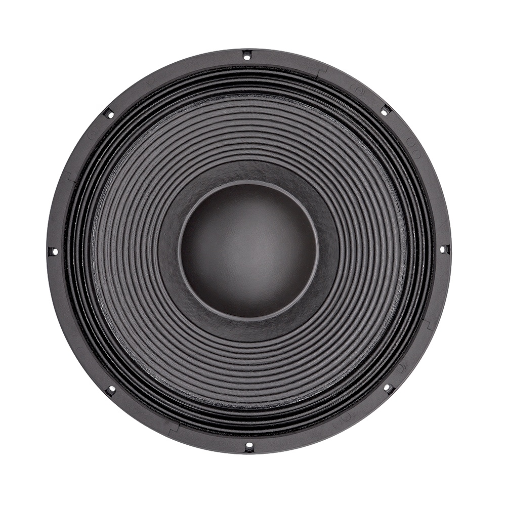 21-дюймовый профессиональный а – обзор и цена Speakers