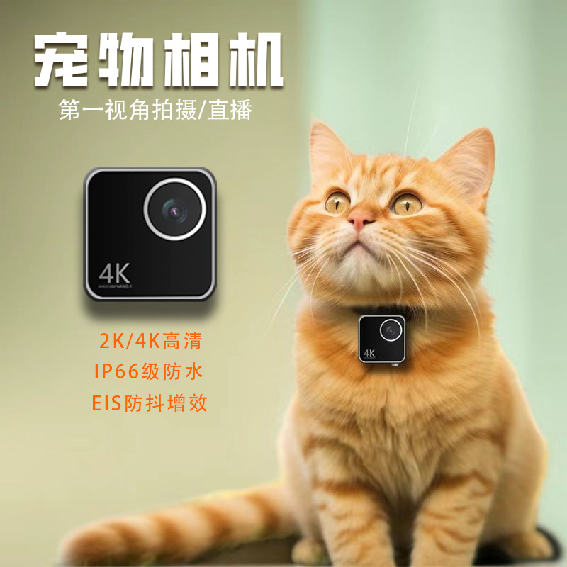 Камера для животных (кошек, со – обзор и цена Cameras