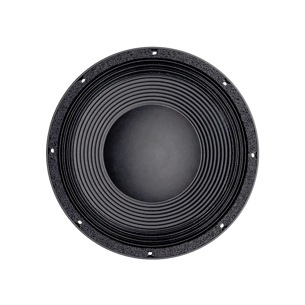 Аудиооборудование 12DS Pro: 12 – обзор и цена Speakers