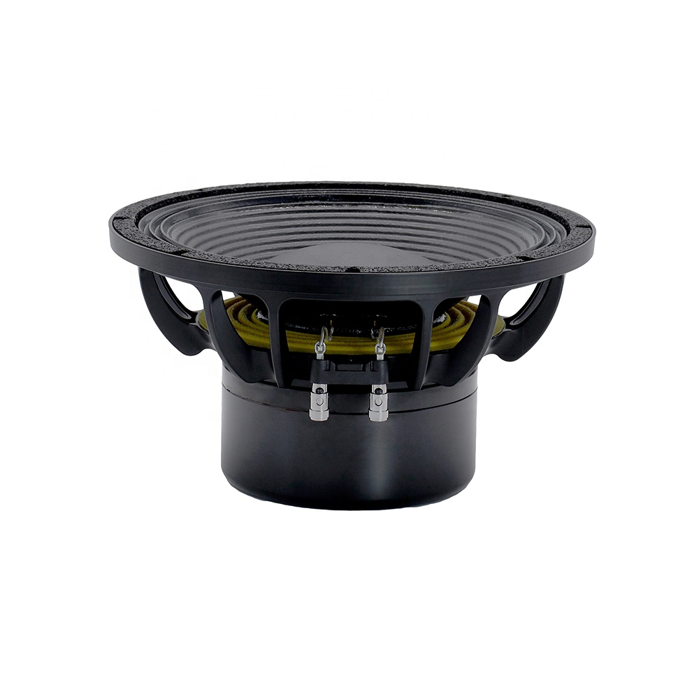 Аудиооборудование 12DS Pro: 12 – обзор и цена Speakers