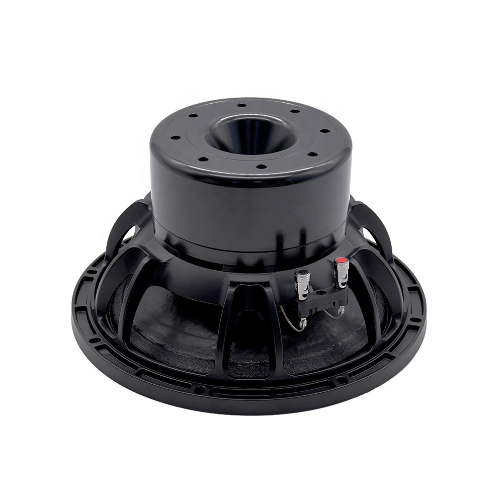 Аудиооборудование 12DS Pro: 12 – обзор и цена Speakers