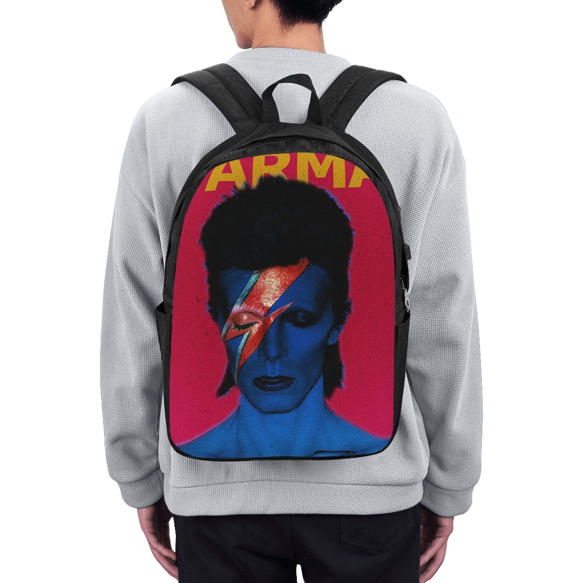 Рюкзак Davids Bowied, дорожная – обзор и цена Laptops